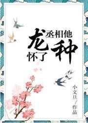 丞相他怀了龙种